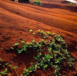 《尤卡莱莉大冒险：增强版》10月发售 还将登陆NS2